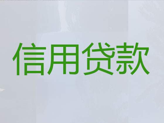 吉安贷款公司-贷款中介